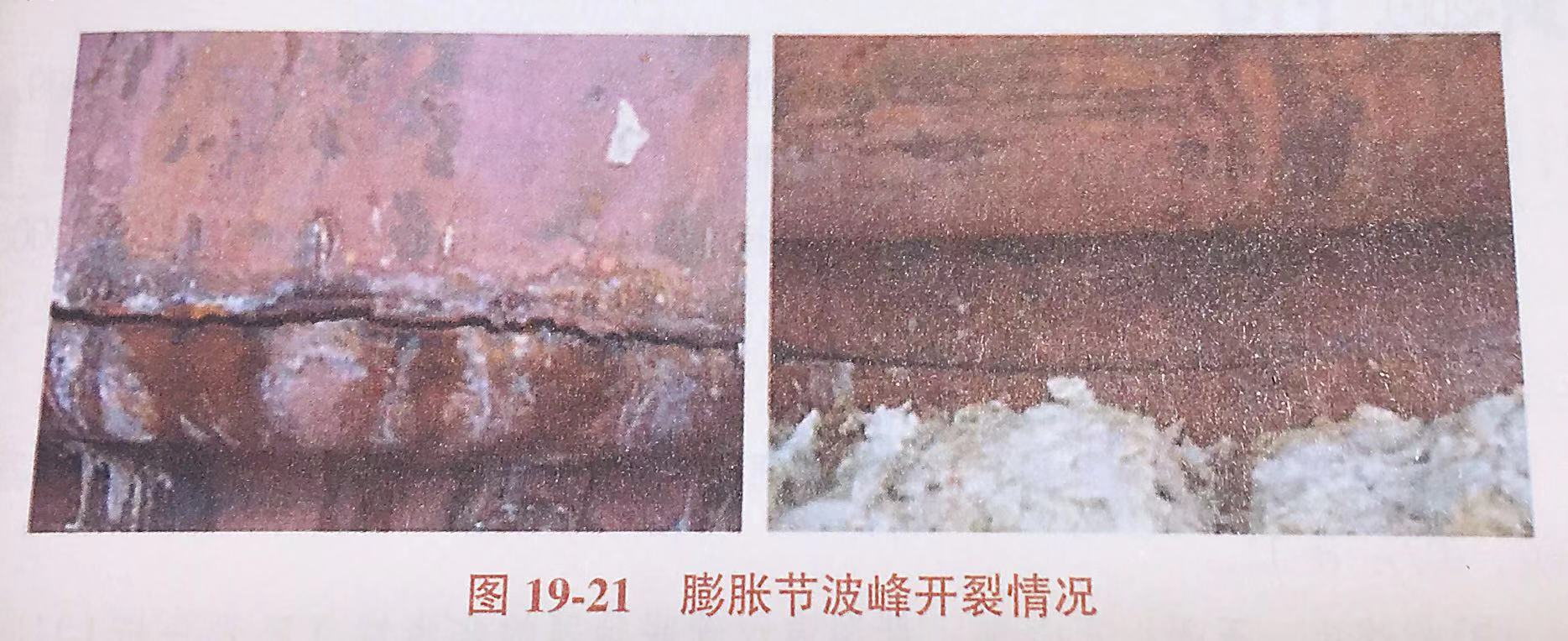 微信圖片_20200111114453.jpg