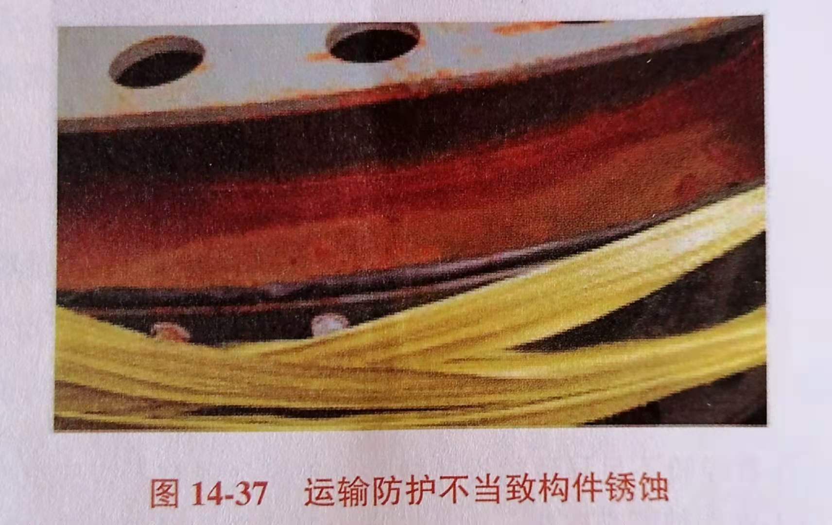 微信圖片_20201116145310.jpg